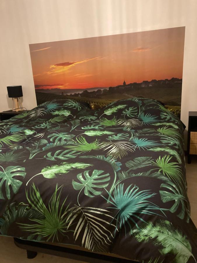 L'Alsacienne Apartment Руфаш Екстериор снимка